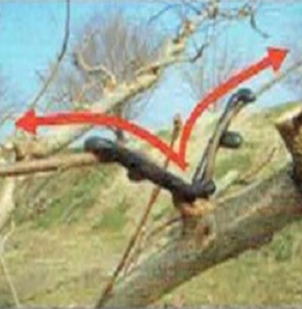 e4.jpg