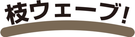 枝.jpg