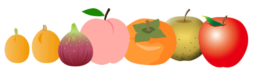 果物.psd